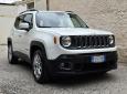 JEEP Renegade-Business-1.6MJT-120CV