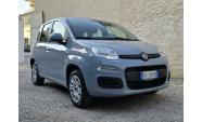 FIAT - PANDA Easy 1.2 70CV