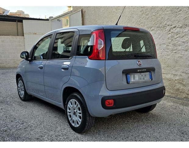 FIAT PANDA-Easy-1.2-70CV