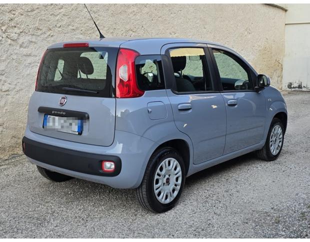 FIAT PANDA-Easy-1.2-70CV