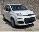 FIAT - Panda 1.0 70CV HYBRID KM ZERO