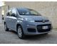 FIAT - PANDA Easy 1.2 70CV